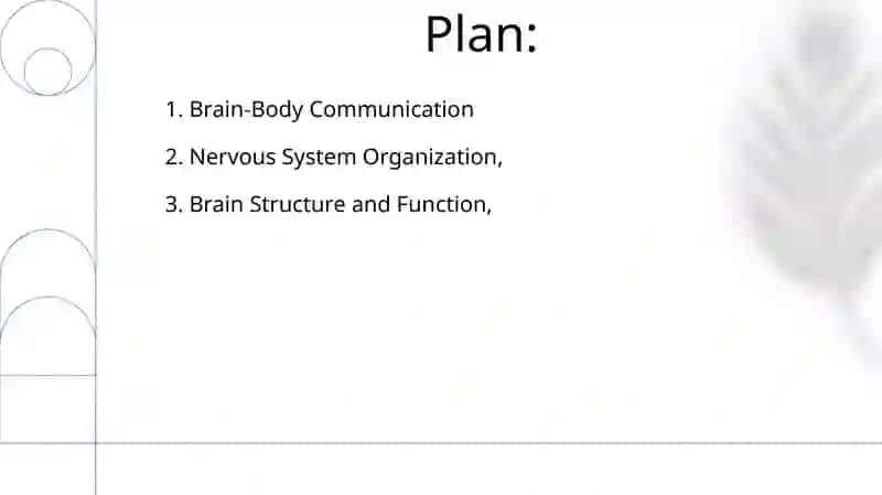 Brain and a nervous system 2