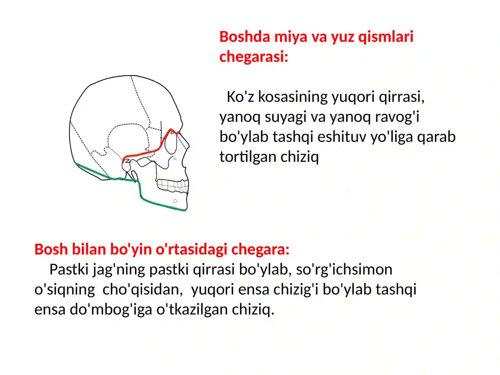 Central Asian Medical University 2