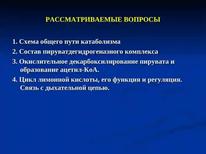 Биология химия 2