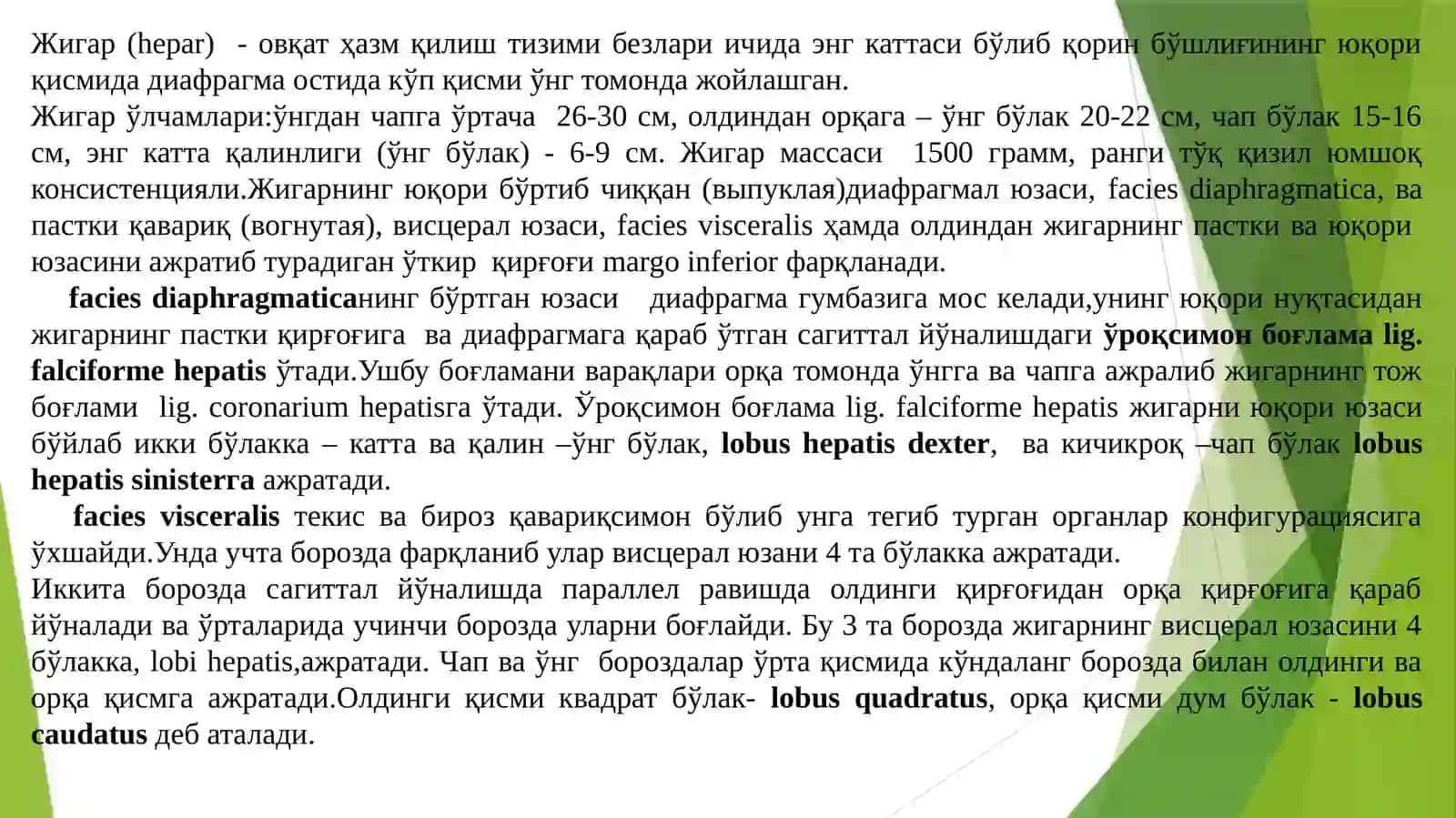 ЖИГАРРАКИ–С22 2
