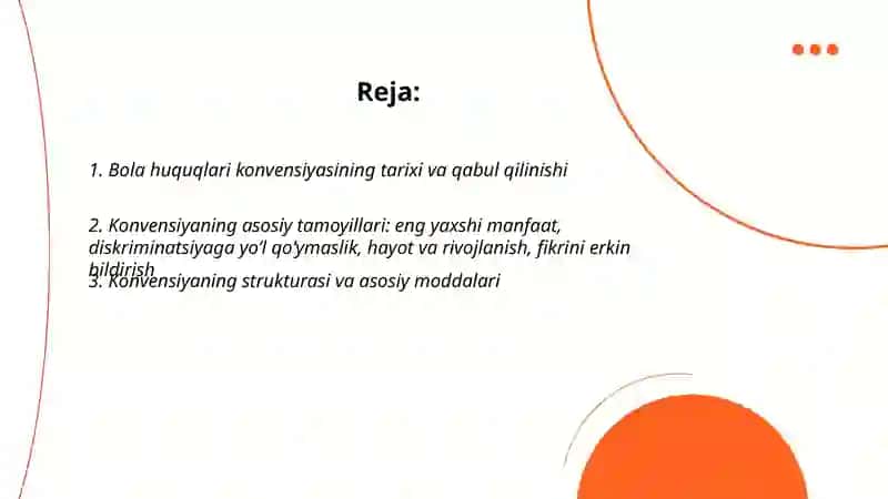 Bola huquqlari konvensiyasi 2
