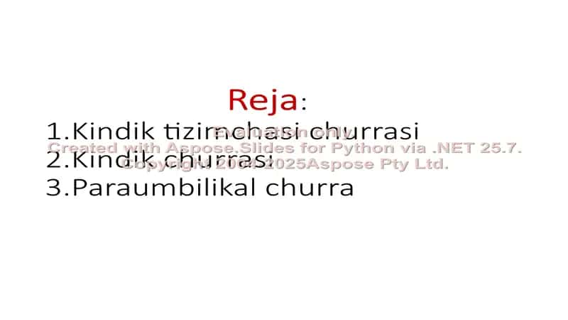 Kindik churrasi 2
