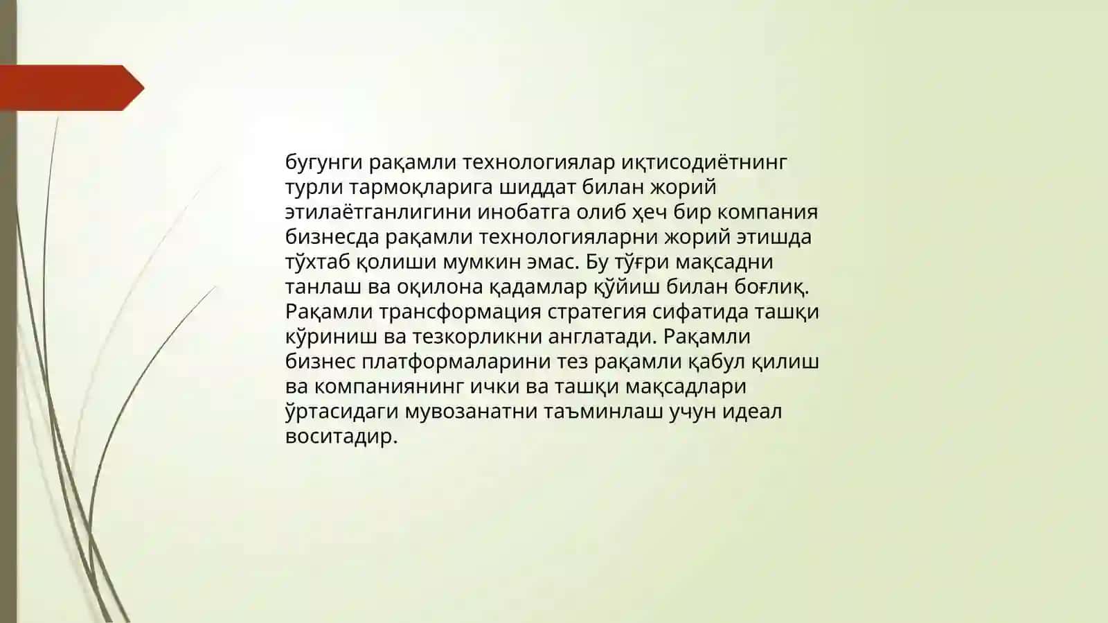 Рақамли бизнес 2