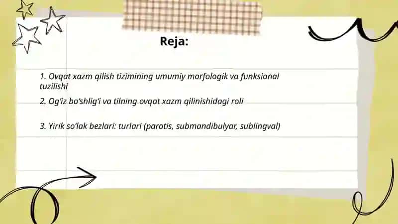 Ovqat xazm qilish tizimi 2