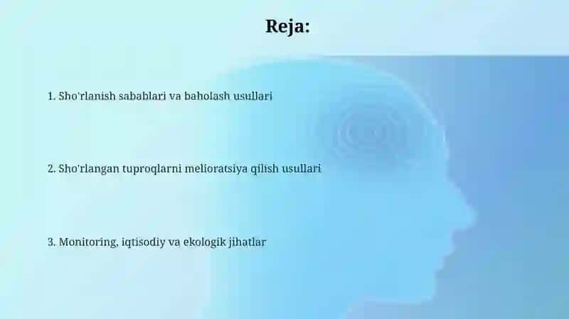 Shoʻrlangan tuproqlar melioratsiyasi 2