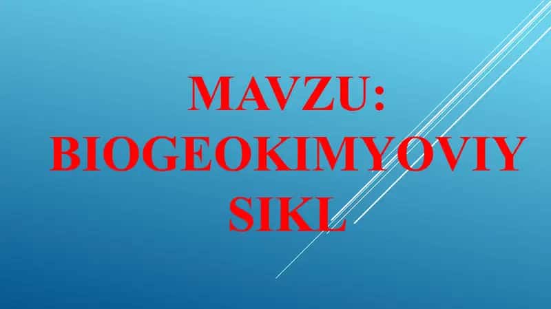 Biogeokimyoviy sikl 2