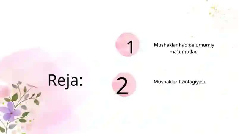 Mushaklar tizimi 2