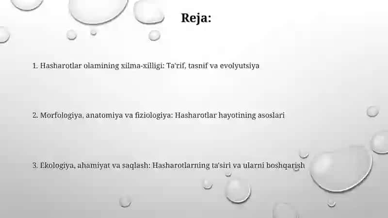 Hasharotlarning xilma-xilligi 2