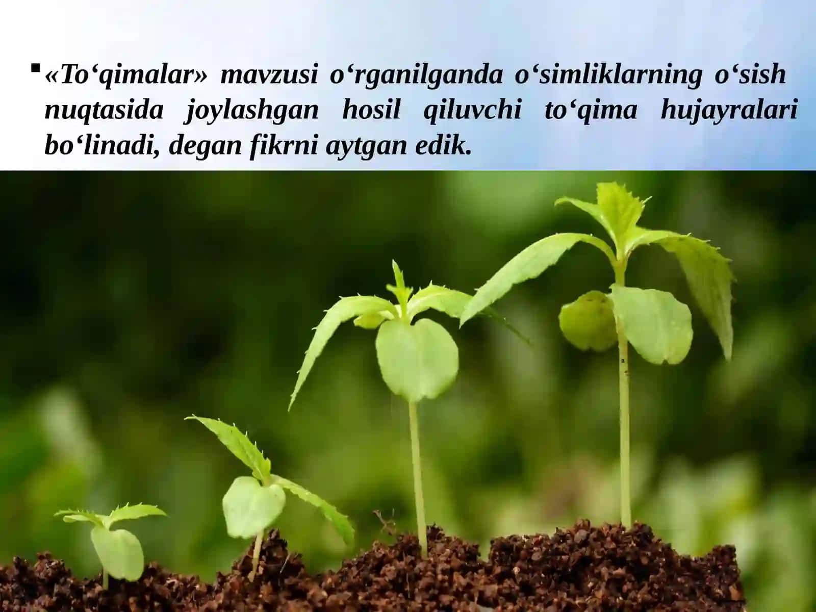 POYANINGBO’YIGA O’SISHI 2