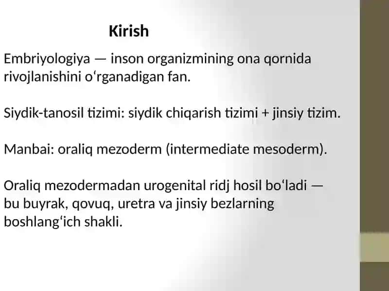 Siydiktanosilaʼzolariembriogenezi 2