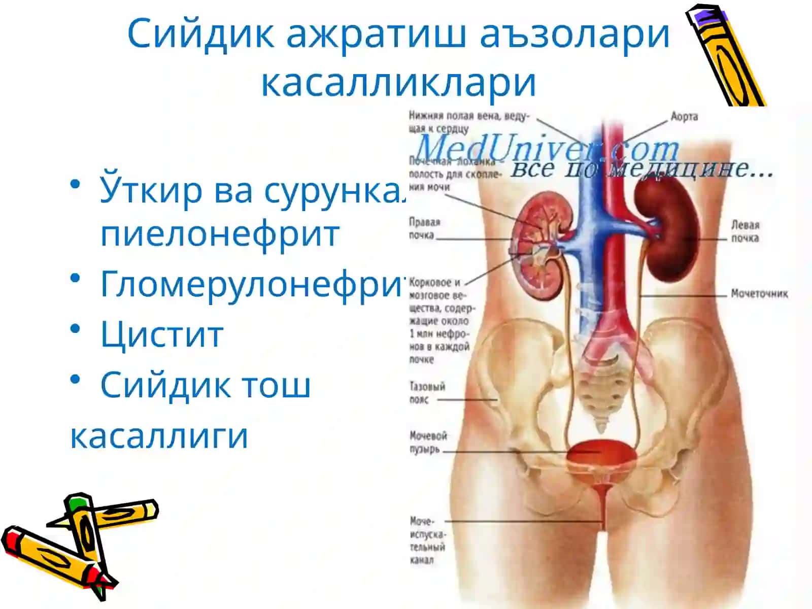 Буйрак касалликлари 2
