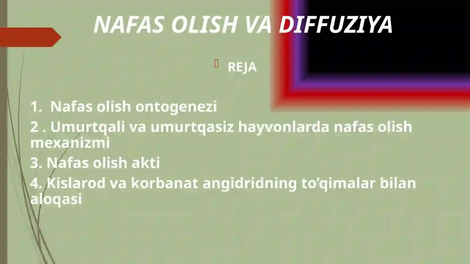 NAFAS OLISH VA DIFFUZIYA 2