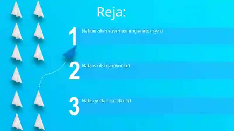 Organizim nafas olish organlari sistemasi 2