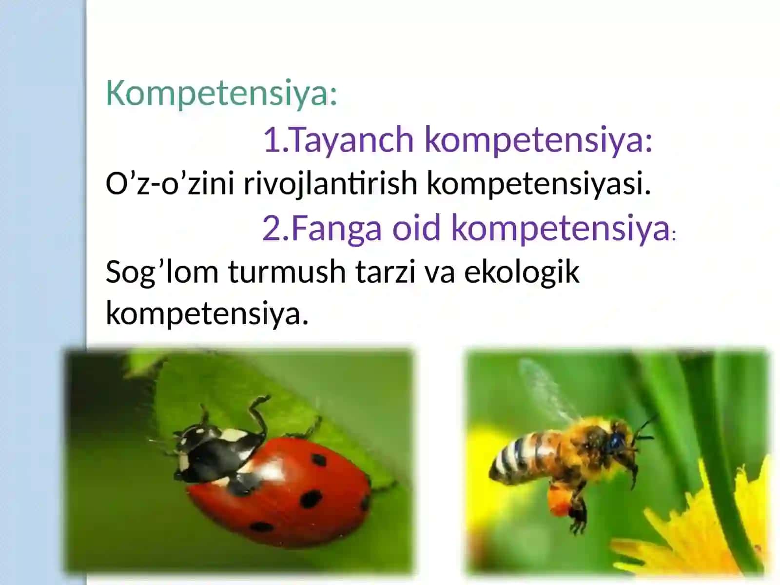 Hasharotlarning kelib chiqishi va ahamiyati 2