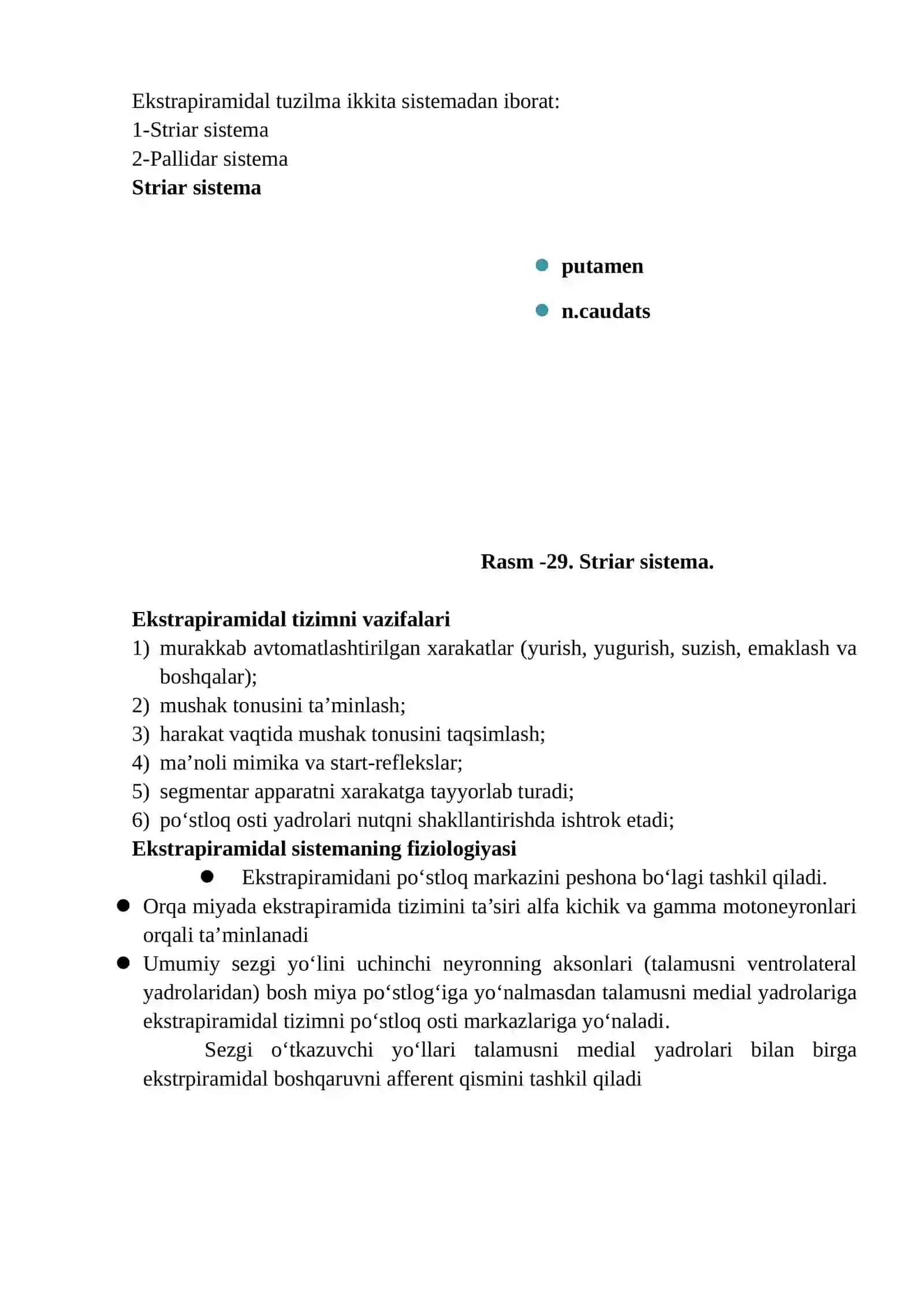 Ekstrapiramida tuzilmasi 2