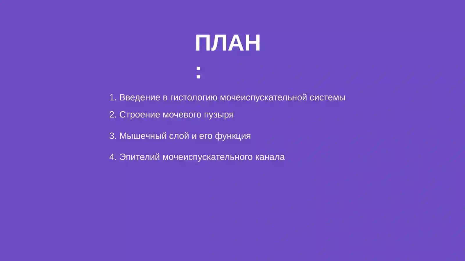 Гистология мочеиспускательной системы 2