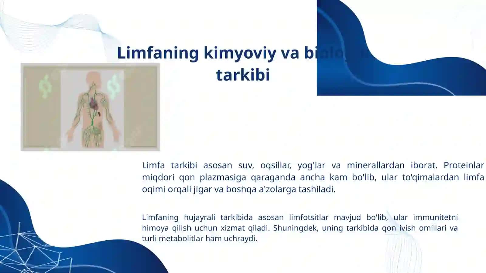 Limfaning hosil bo'lish jarayoni va uning manbai 2