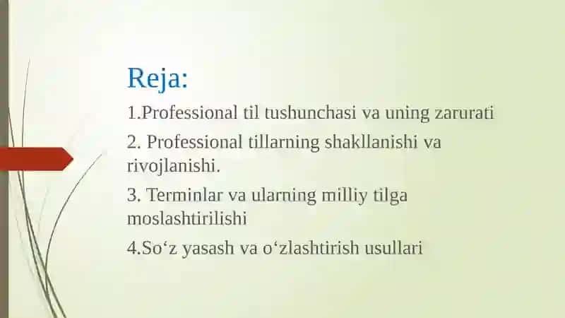 Professional tillar va ularning milliy tilda asosiy xususiyatlari 2