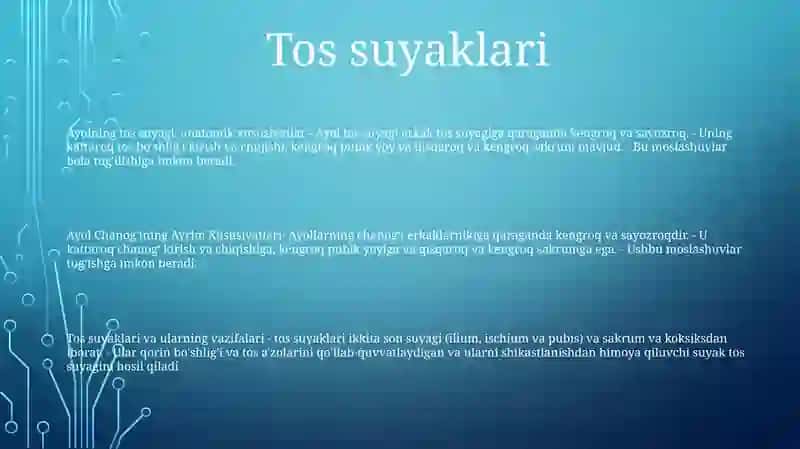 Ayol ChanogʻI Anatomiyasi 2