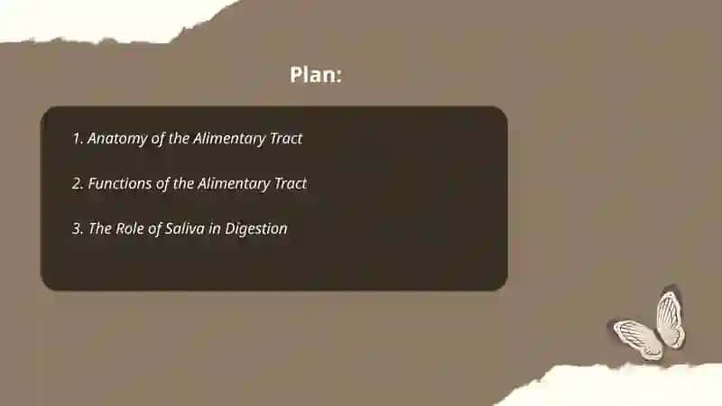 The alimentary tract of a human being 2