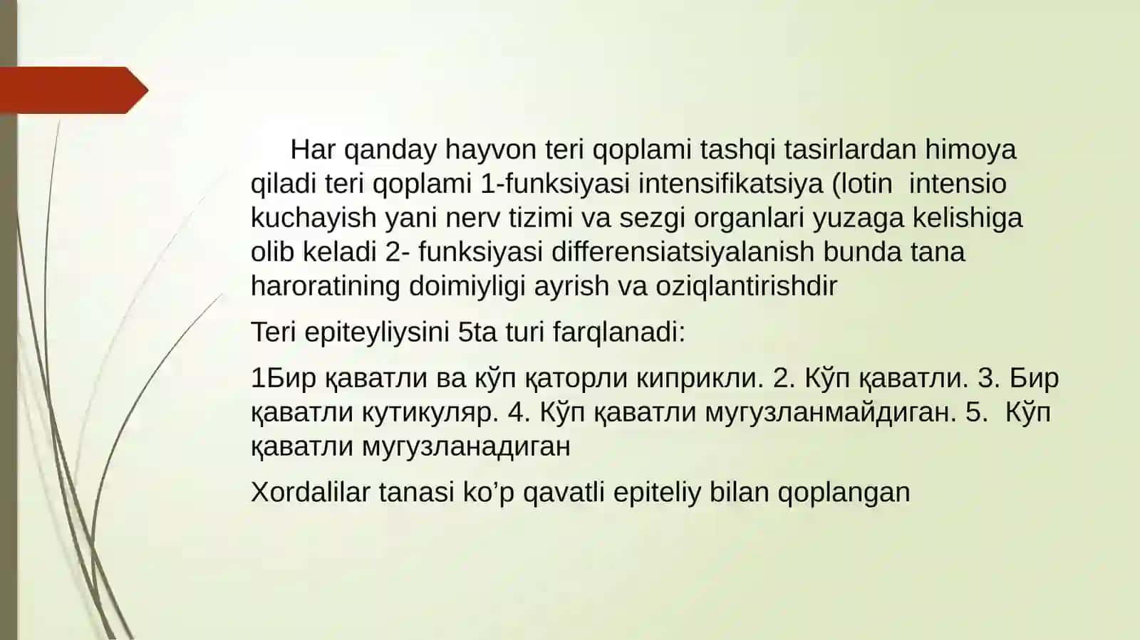 Qoplovchi va tayanch harakat tizimi ontofilogenezi 2
