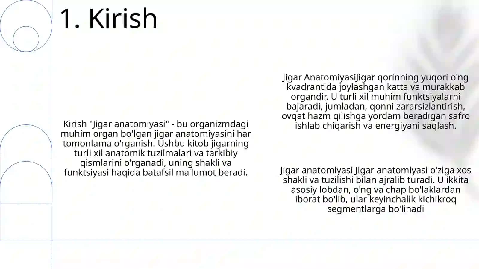 Jigar Anatomiyasi 2