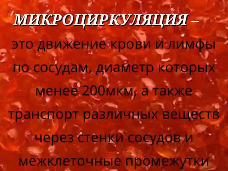 ФИЗИОЛОГИЯ МИКРОЦИРКУЛЯЦИИ 2