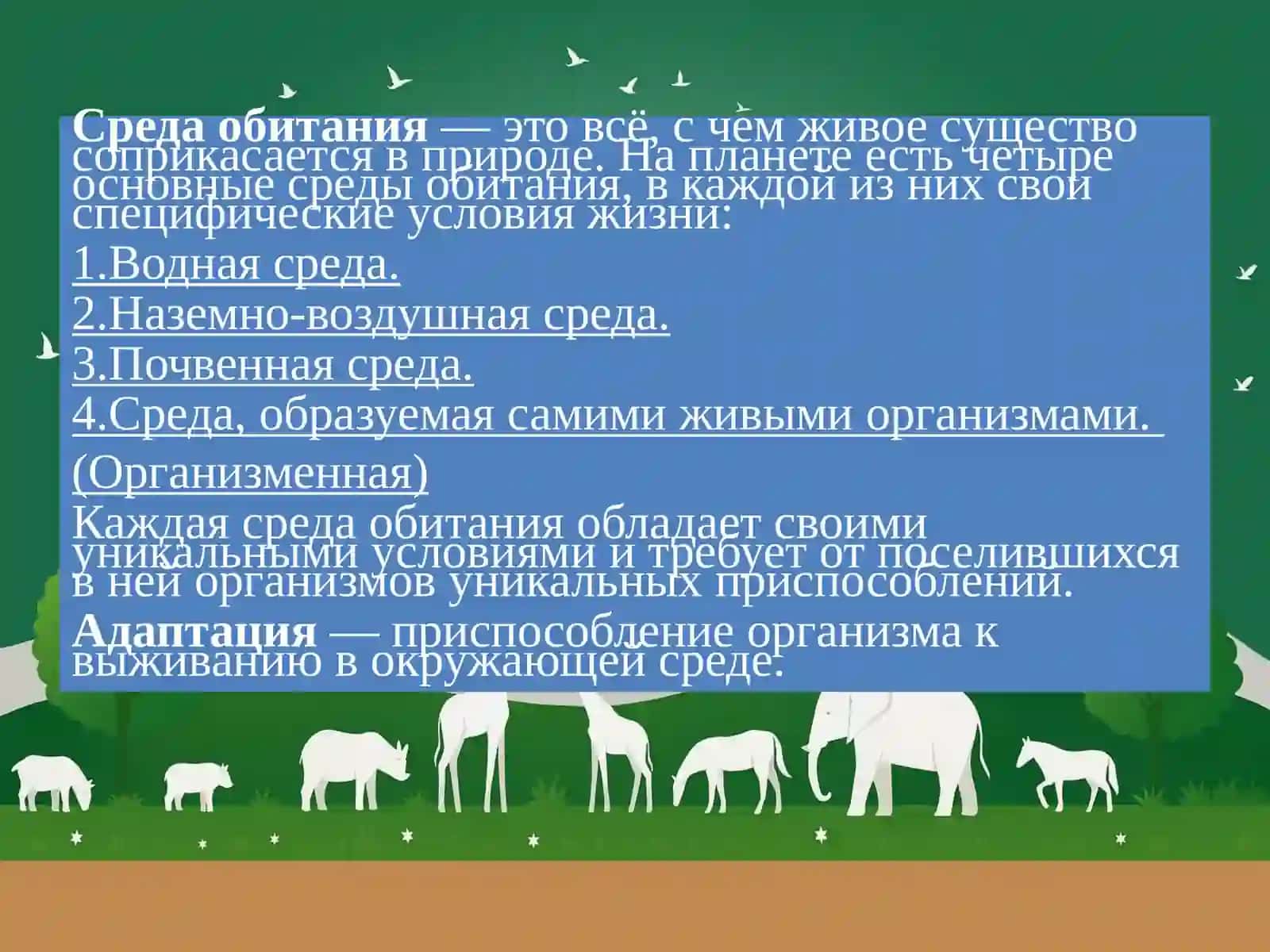 Среда и экологические факторы 2