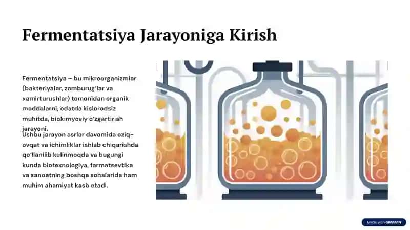 Fermentatorlarning Asosiy Turlari va Vazifalari 2