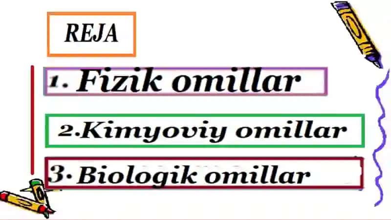 Mikroorganizmlar va ularning hayotiy faoliyati 2