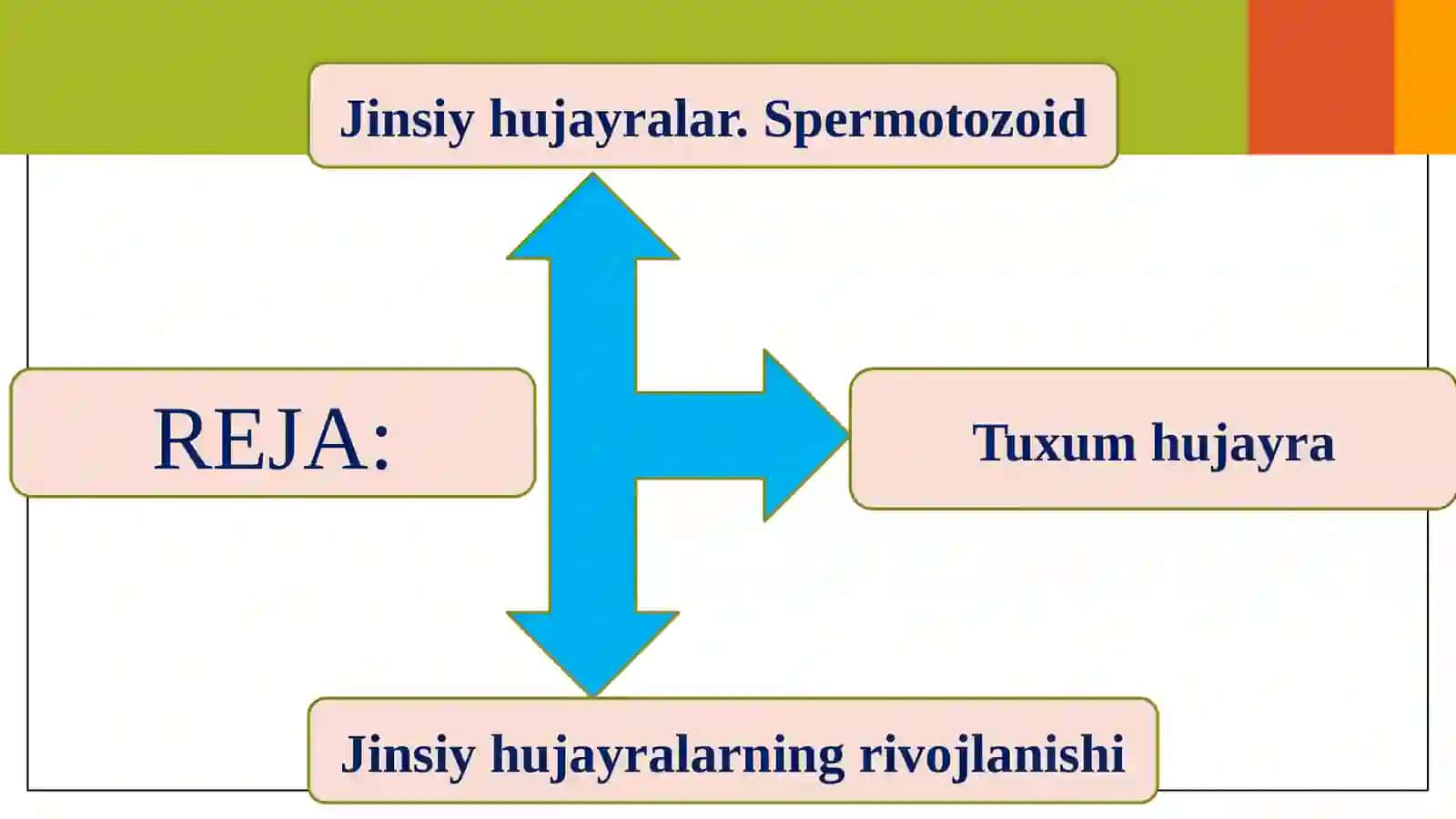 Jinsiyko‘payish 2