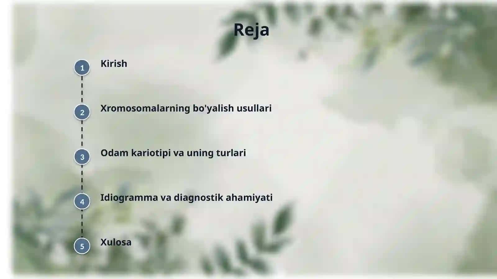 Xromasomalarning bo'yalish va odam kariotipi va idiogrammasi 2
