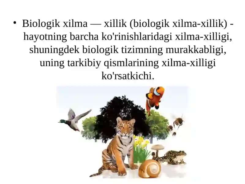 BIOXILMA-XILLIKDA ABIOTIK, BIOTIK VA INSON OMILLARINING TA'SIRI 2