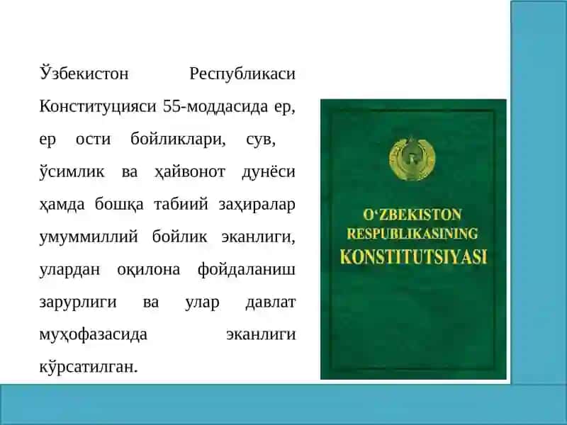 ЭКОЛОГИЯ СОҲАСИДАГИ ЖИНОЯТЛАР 2