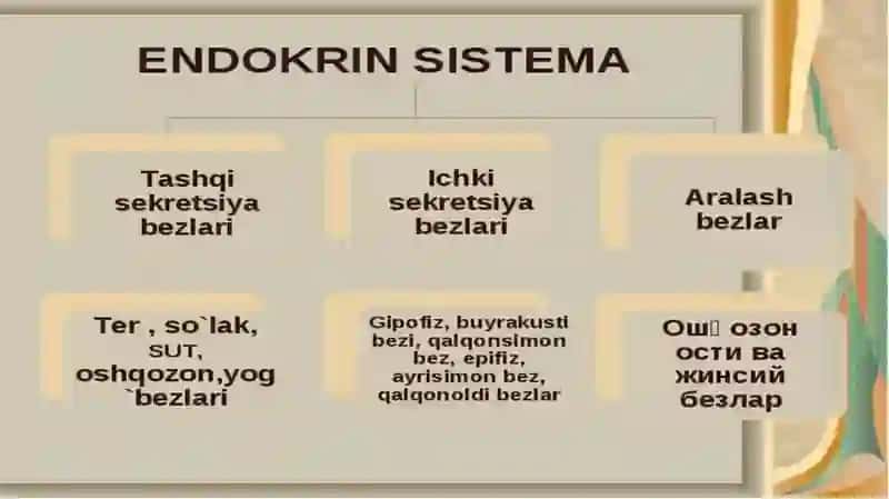 Endokrin tizimi fiziologiyasi 2