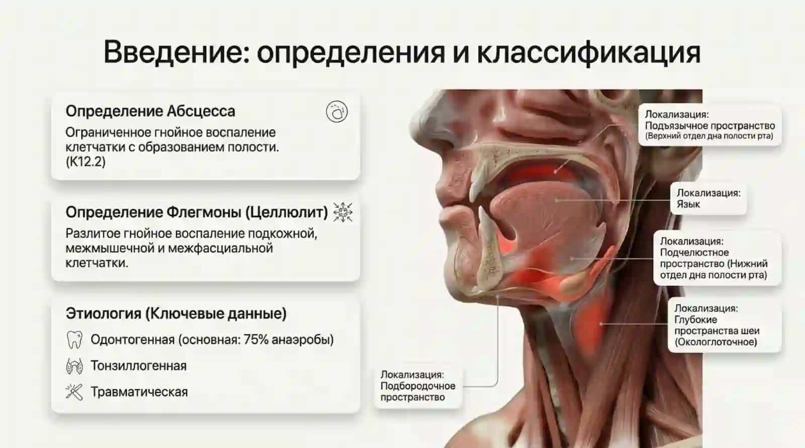 Абсцессы и флегмоны дна нолости рта языка и шеи 2