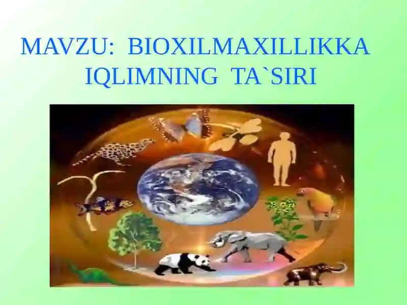 BIOXILMAXILLIKKA IQLIMNING TA`SIRI 2