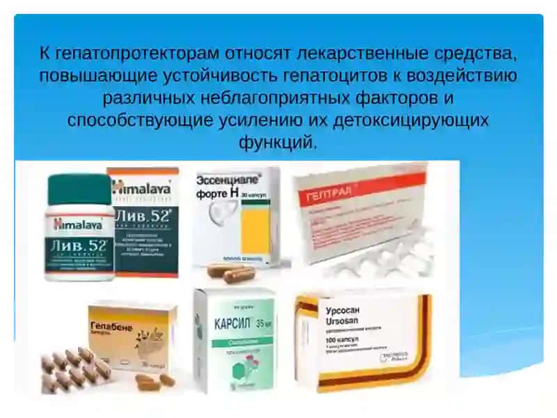 Гепатопротекторы 2