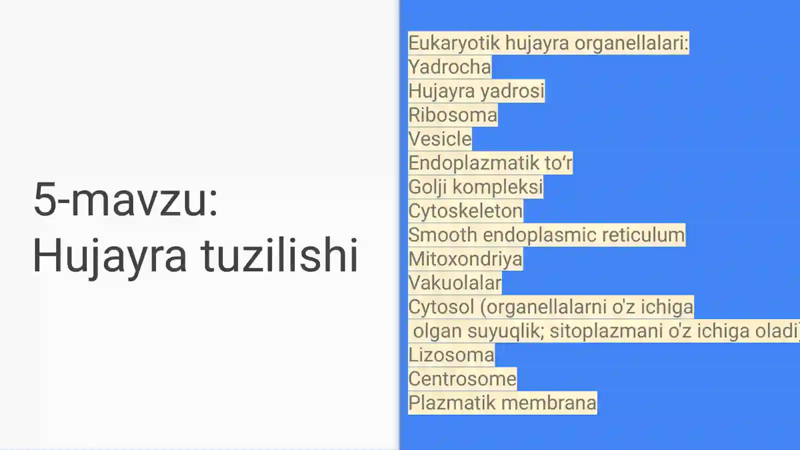 Hujayra tuzilishi 2