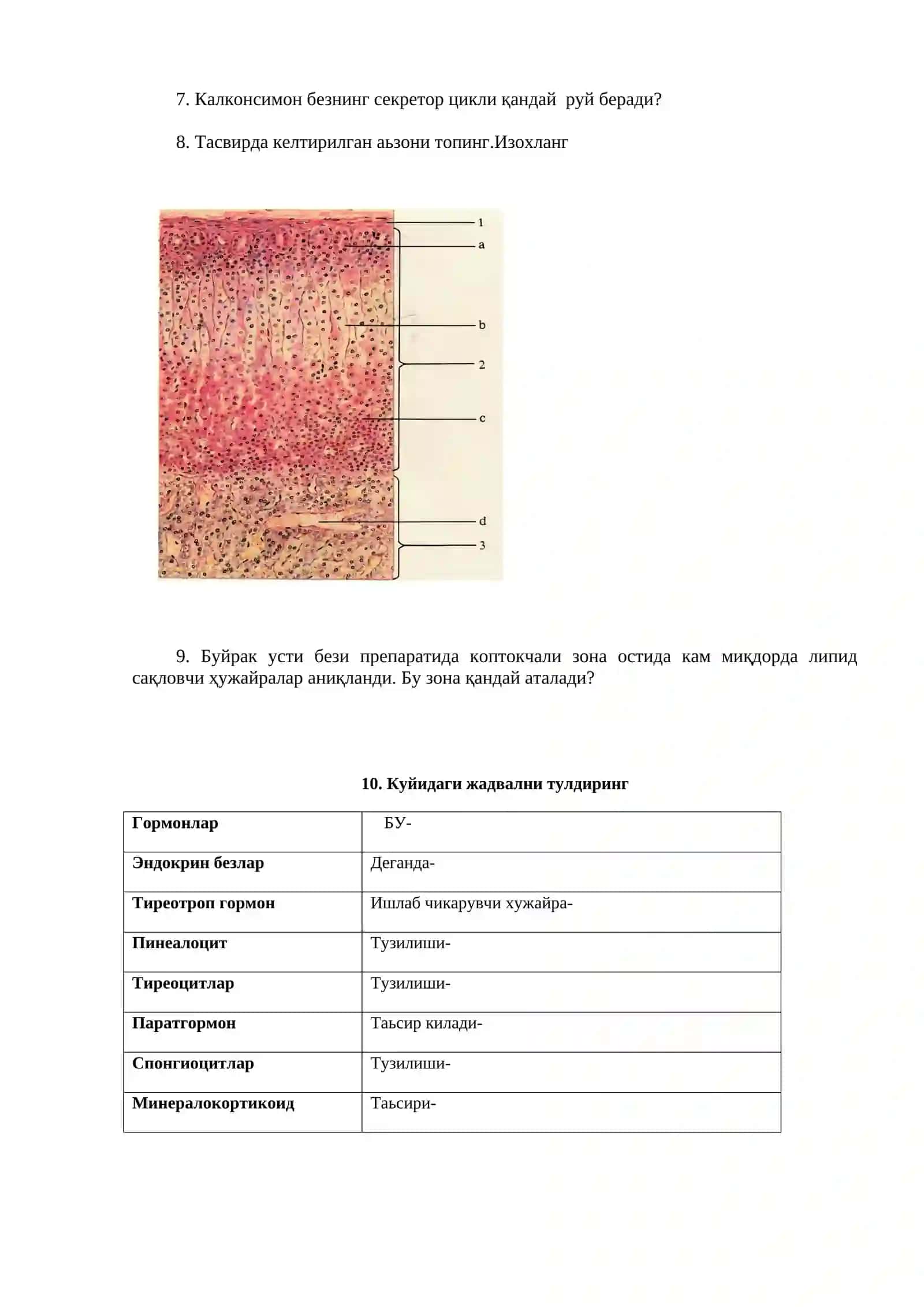 Қалқонсимон безнинг функционал ҳолати 2