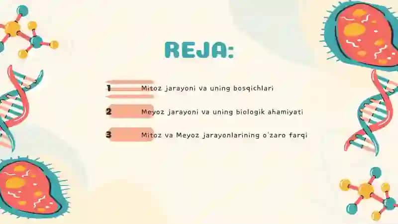 METOZ VA MEYOZ JARAYONLARI. 2