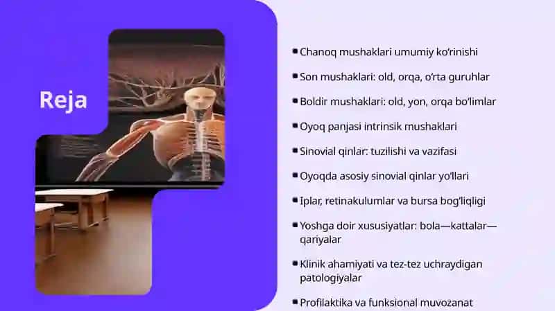 Chanoq va son mushaklari. Boldir va oyoq panjasi mushaklari. Oyoqning sinovial qinlari va ularning yoshga doir xususiyatlari 2