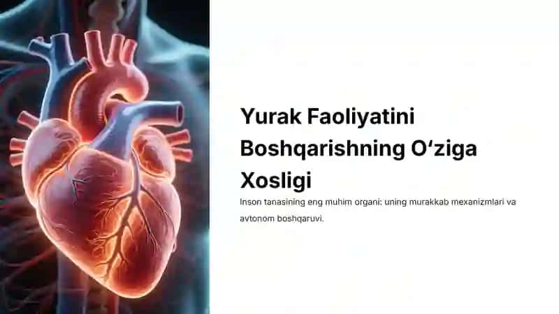Yurak Faoliyatini Boshqarishning O‘ziga Xosligi 2
