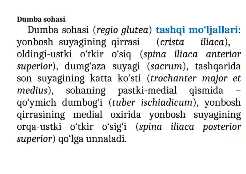 OYOQNING KLINIK ANATOMIYASI 2