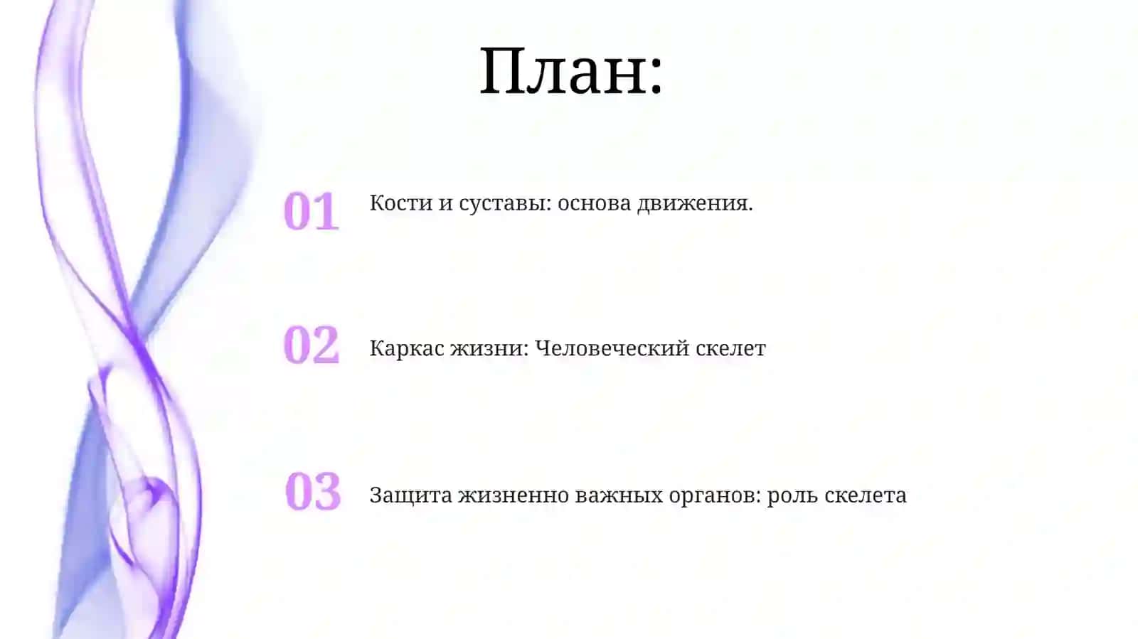 слайдоскелетечеловека 2