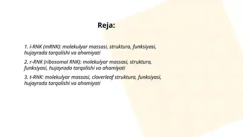 RNK va i-RNK protsessi 2
