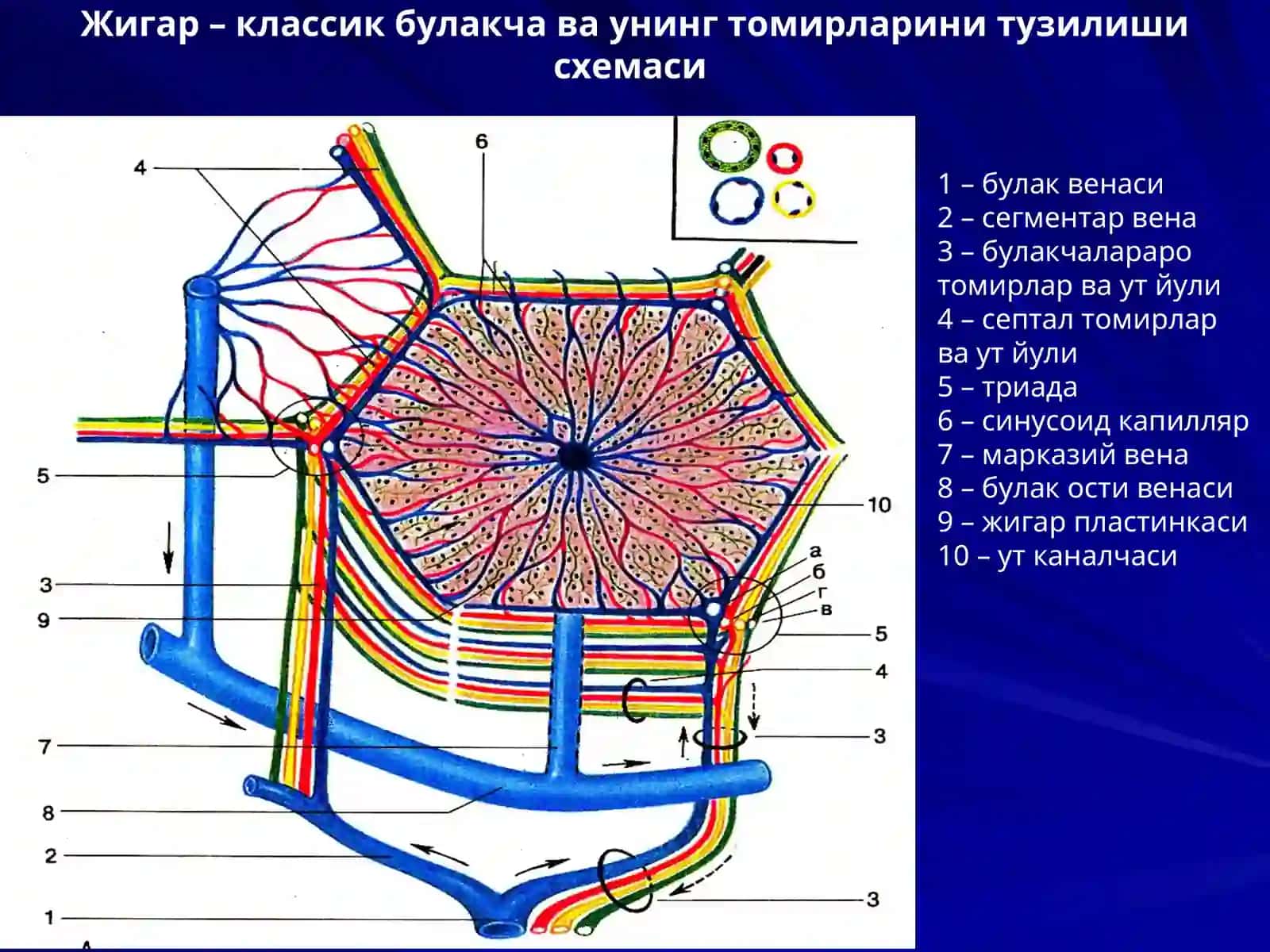 ЖИГАР. МЕЪДА ОСТИ БЕЗИ 2