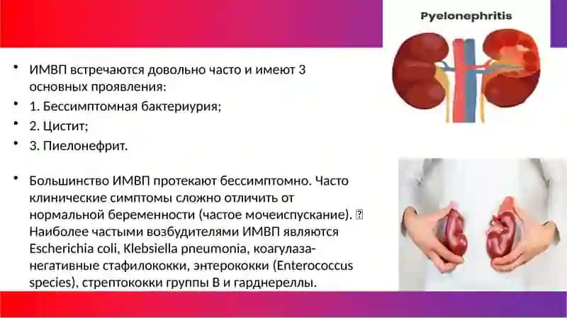 Инфекции мочевыводящих путей во время беременности 2
