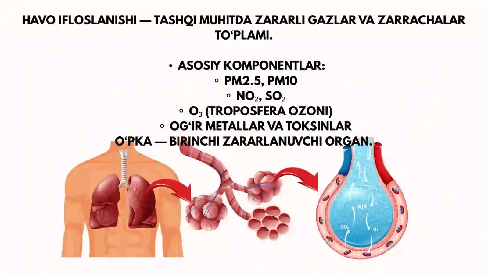 HAVO IFLOSLANISHINING O'PKA PATALOGIYASIDAGI AHAMIYATI 2