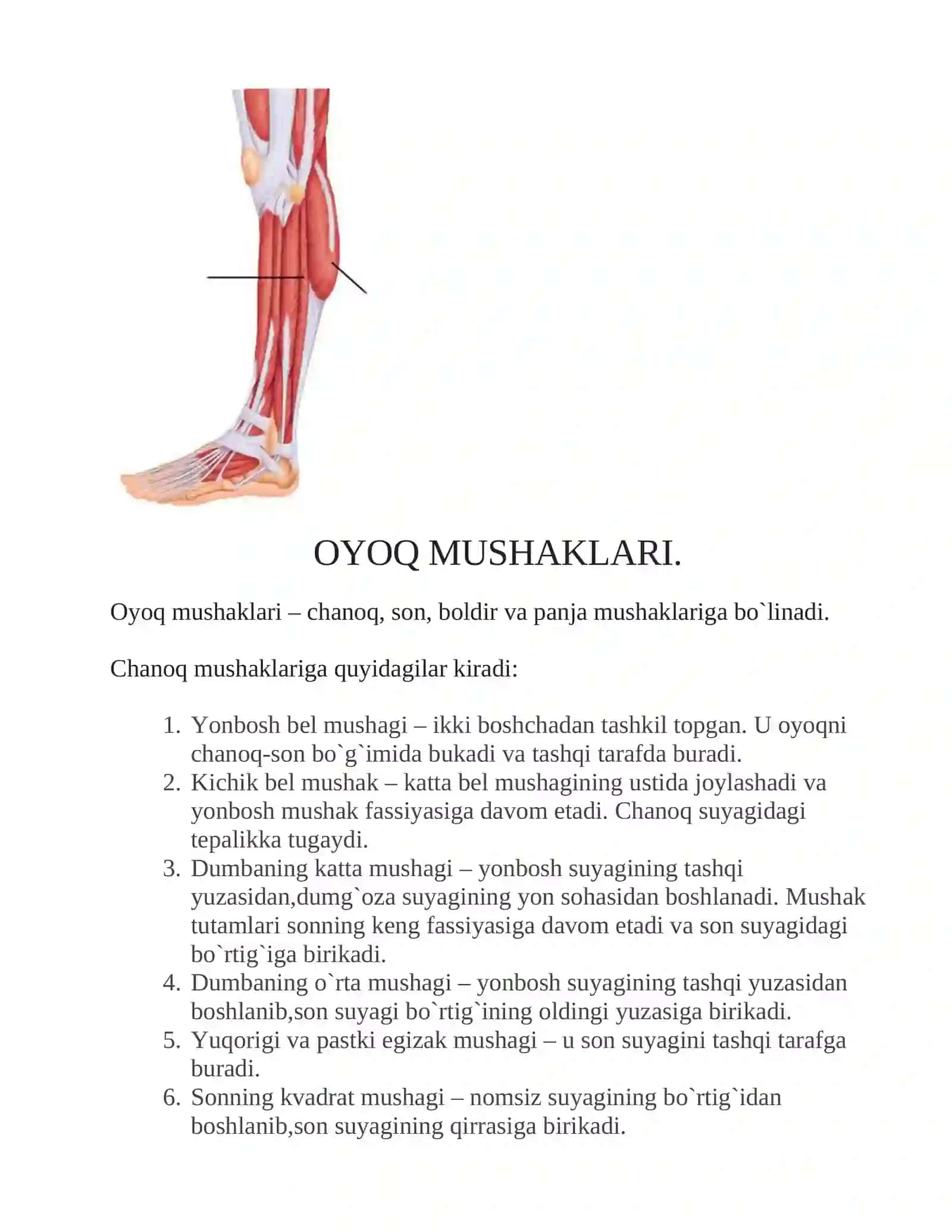 OYOQ MUSHAKLARI 2